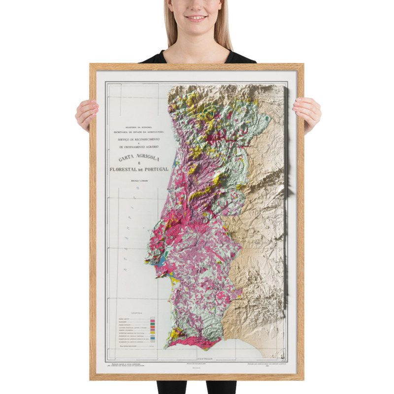 Portugal map framed